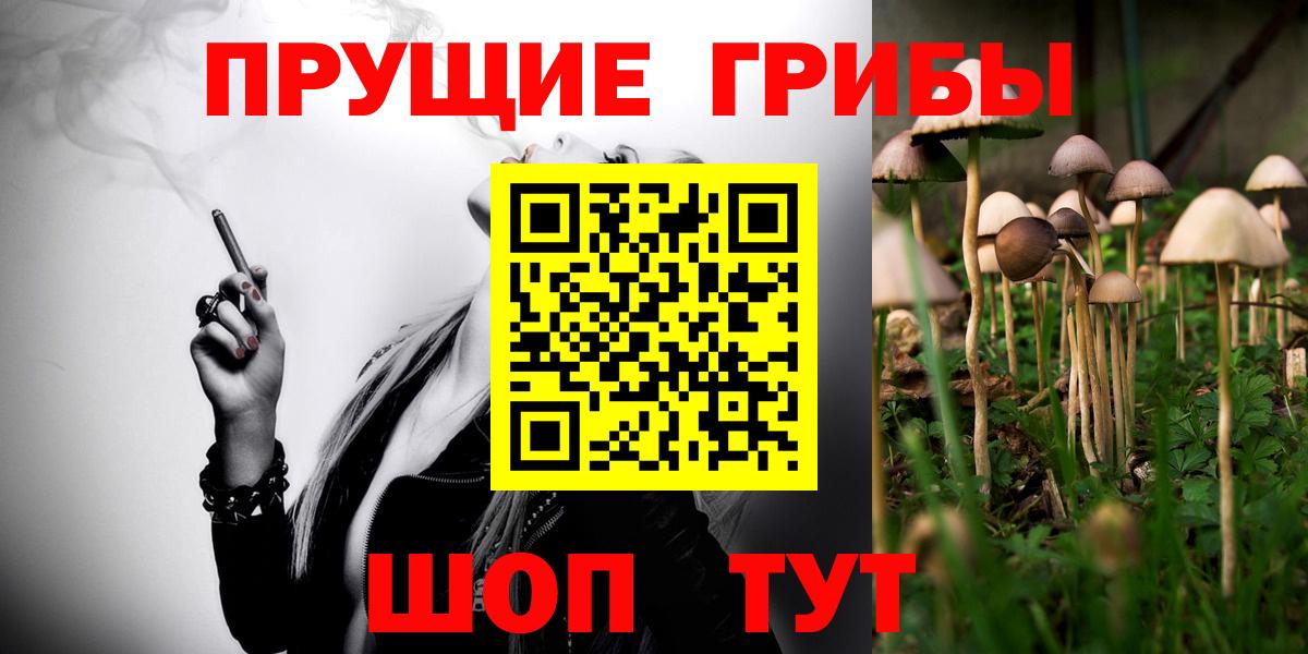 Псилоцибиновые грибы прущие грибы  Вход с VPN  Камышин 